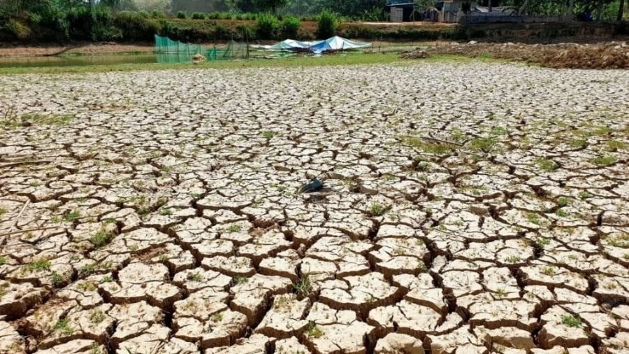 Chống sa mạc hóa tại Việt Nam - Bài 2: Triển khai chính sách dựa trên thực tiễn vùng và điều kiện phát triển