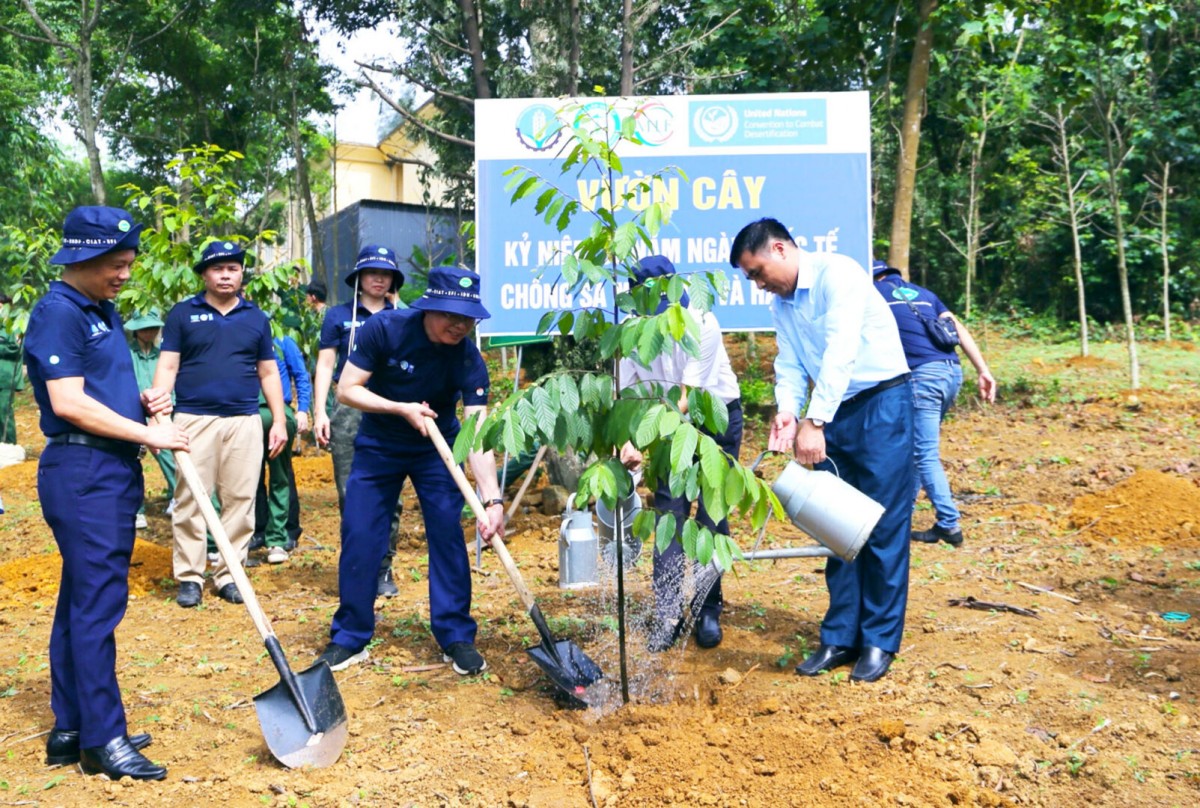 Chống sa mạc hóa tại Việt Nam - Bài 2: Triển khai chính sách dựa trên thực tiễn vùng và điều kiện phát triển