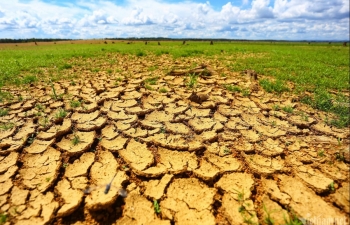 Chống sa mạc hóa tại Việt Nam - Bài 1: Đòn bẩy xóa đói giảm nghèo bền vững