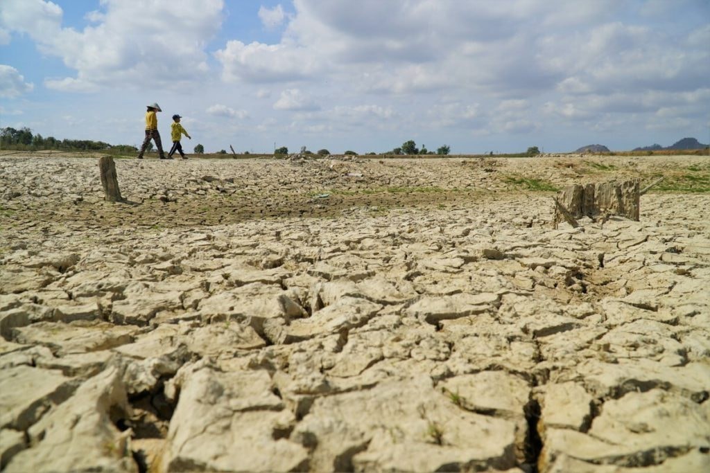 Chống sa mạc hóa tại Việt Nam - Bài 1: Đòn bẩy xóa đói giảm nghèo bền vững