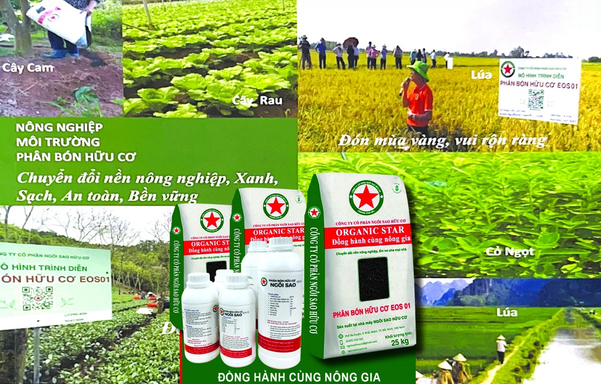 Phân bón Hữu cơ Ngôi sao đồng hành cùng nông gia hướng tới nền nông nghiệp xanh