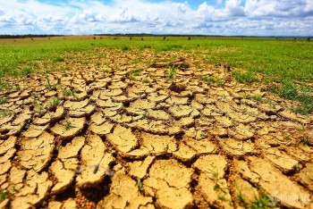 Chống sa mạc hóa tại Việt Nam - Bài 1: Đòn bẩy xóa đói giảm nghèo bền vững