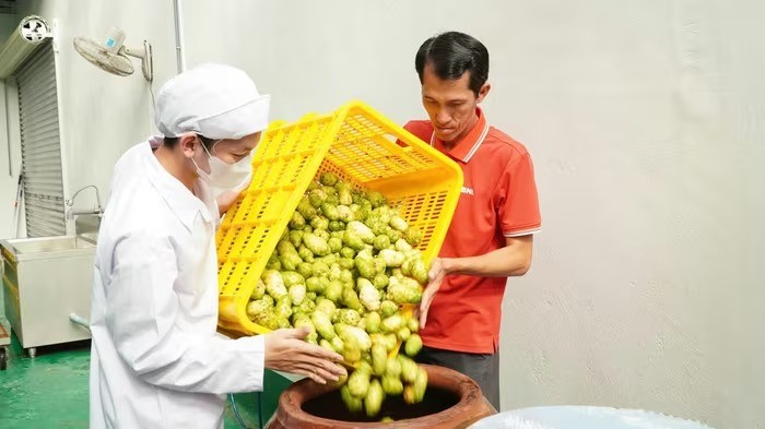 Bỏ việc lương cao về quê khởi nghiệp với trái nhàu