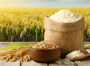 Việt Nam dự kiến xuất khẩu hơn 7,7 triệu tấn gạo hàng hóa trong năm 2026