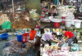 Siết chặt vấn nạn thực phẩm bẩn: Không có “vùng cấm”, ngoại lệ trong việc bảo vệ sức khỏe Nhân dân