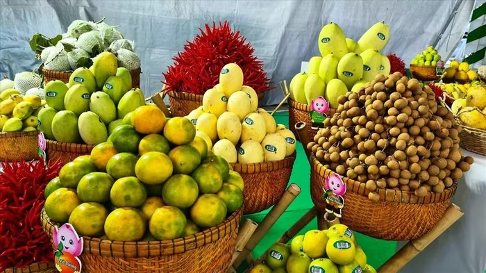 Năm 2025 thành công và dự báo tương lai xuất khẩu nông sản sang Trung Quốc