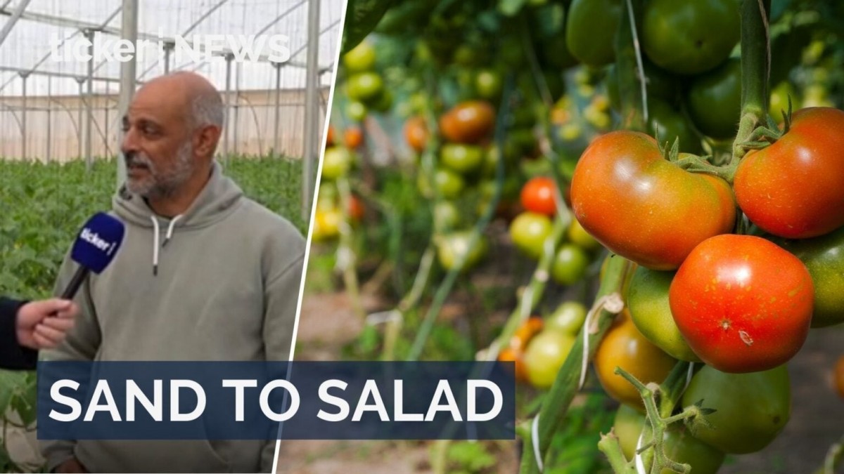 Bí quyết giúp nông dân Israel biến vùng đất khô cằn thành ốc đảo trù phú