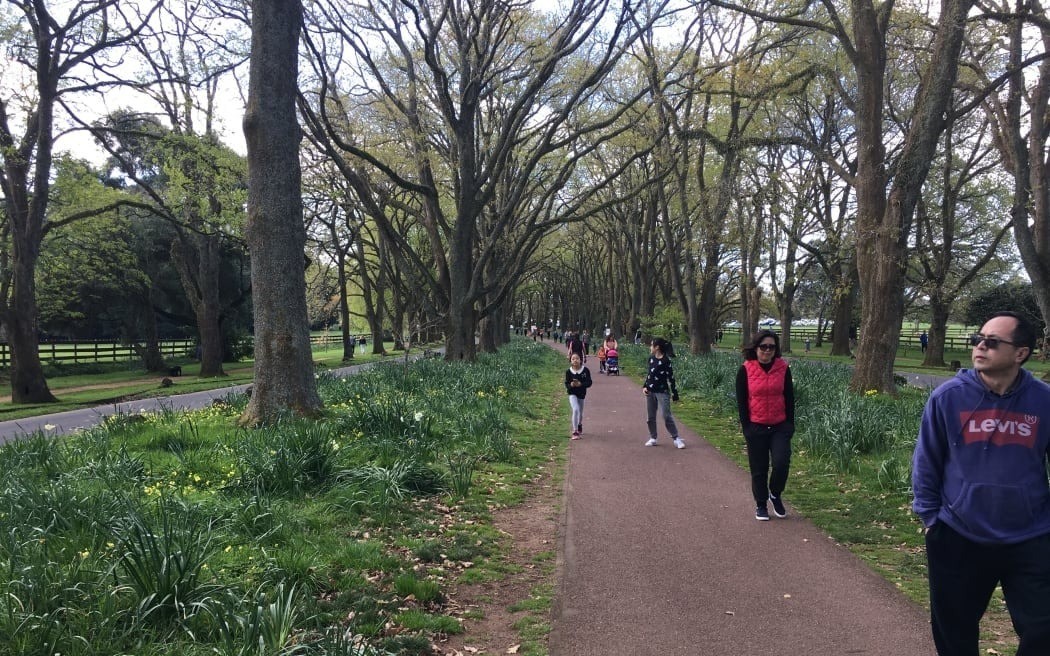 Trang trại nuôi bò, cừu đẹp như tranh giữa lòng thành phố New Zealand hút hàng triệu du khách