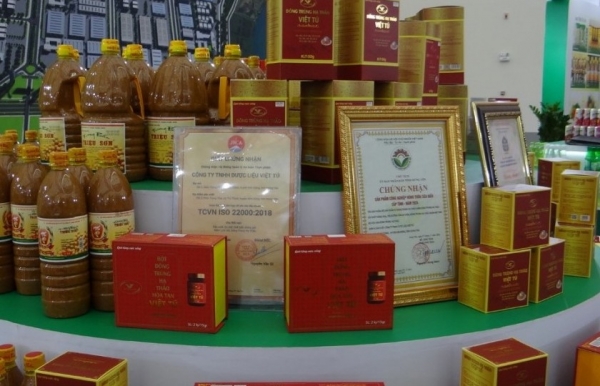 Gìn giữ tinh hoa dược liệu Việt trong hành trình phát triển bền vững nhìn từ cơ sở