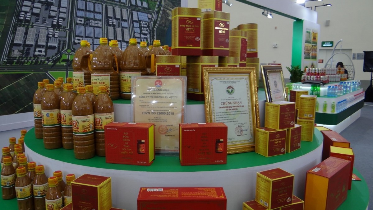 Gìn giữ tinh hoa dược liệu Việt trong hành trình phát triển bền vững nhìn từ cơ sở