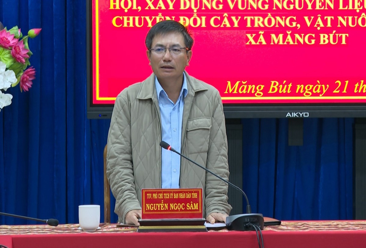 Phó Chủ tịch UBND tỉnh Nguyễn Ngọc Sâm phát biểu tại buổi làm việc,