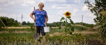 FAO công bố Kế hoạch ứng phó khẩn cấp và phục hồi sớm nông nghiệp Ukraine giai đoạn 2026 - 2028