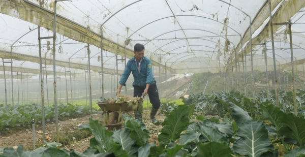 Bảo vệ cây trồng trước thời tiết cực đoan