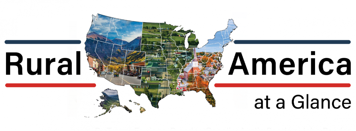 Bức tranh kinh tế và xã hội nông thôn Mỹ qua báo cáo mới nhất của USDA