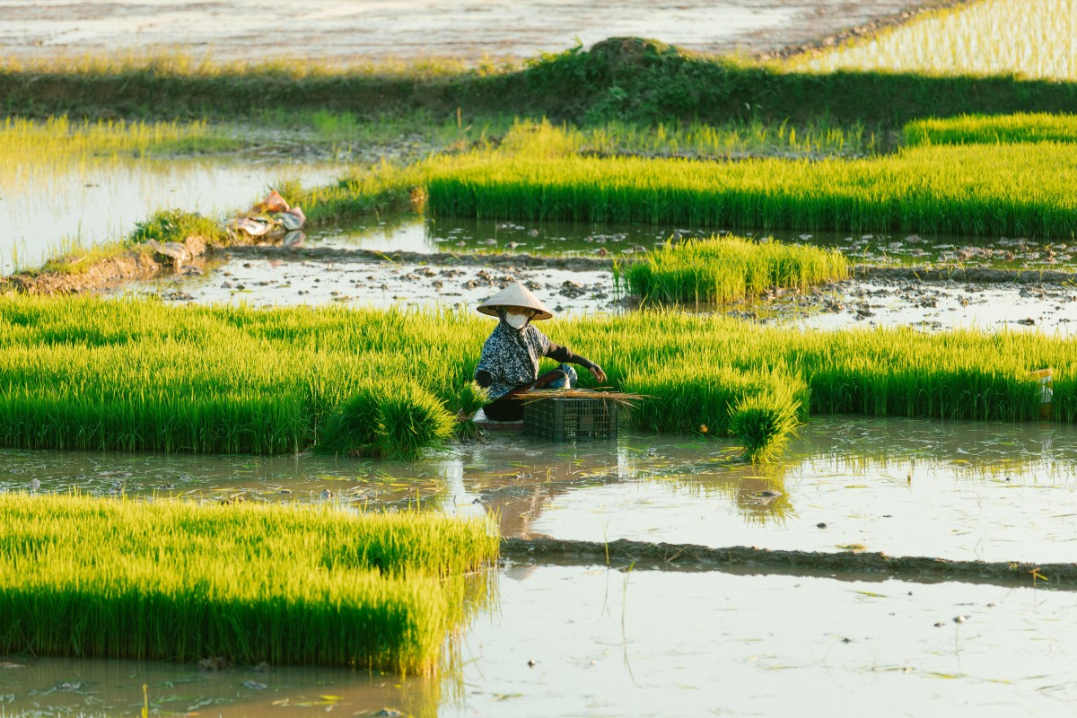 Sưởi ấm tình người giữa mùa Đông xứ Nghệ