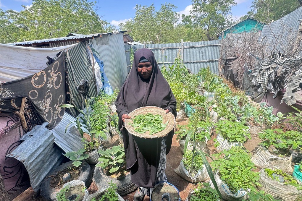 Gieo rau trên đất cát: Hành trình vươn lên của một phụ nữ tị nạn Somali