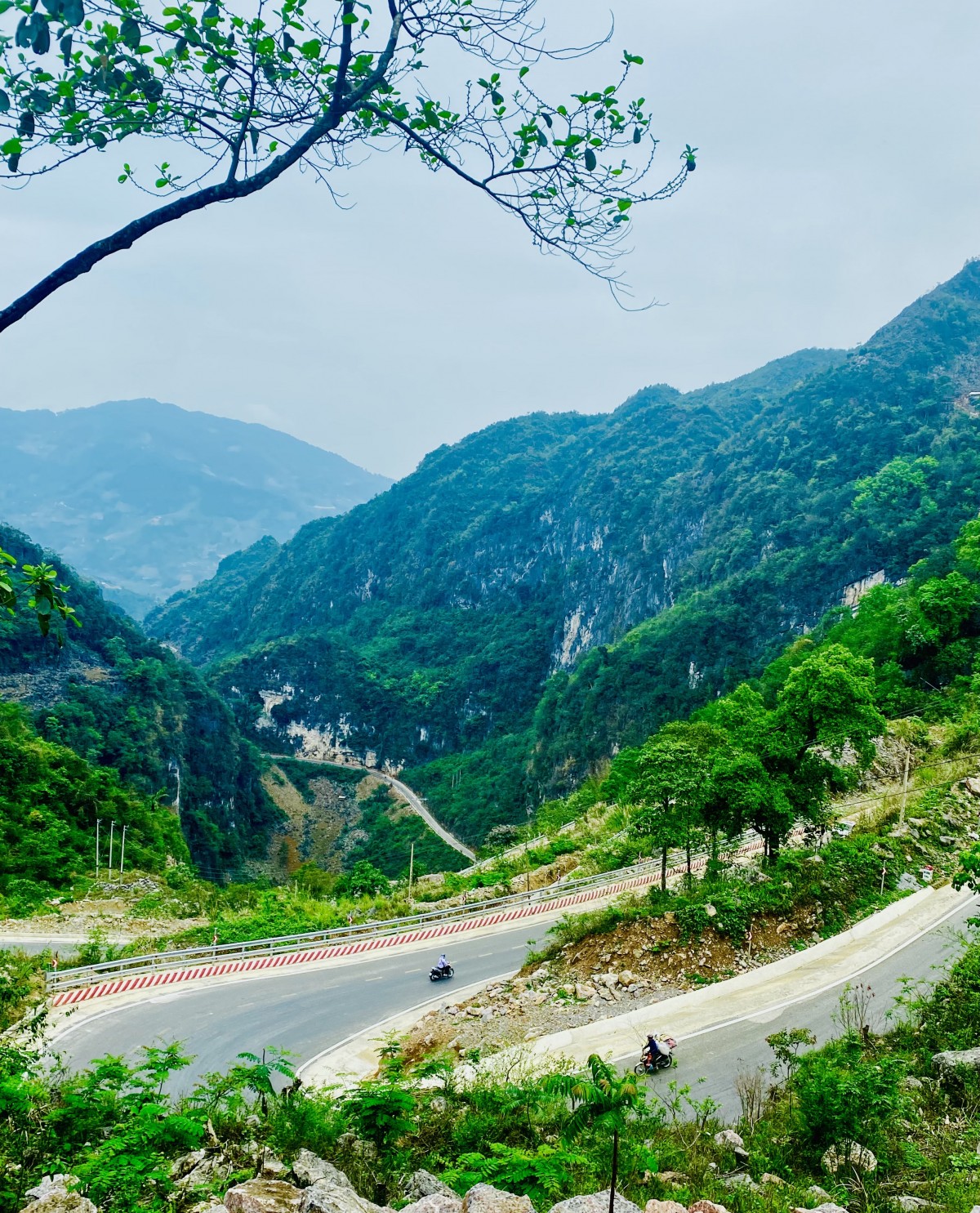 Xuân Trường nồng nàn giữa miền xuân