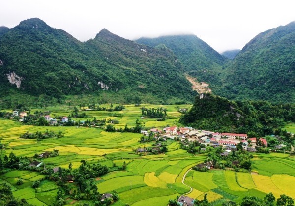 Xuân Trường nồng nàn giữa miền xuân