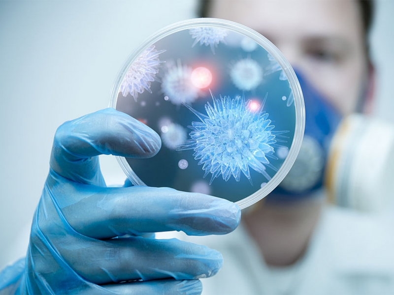 Bộ Y tế cảnh báo khẩn liên quan đến virus Nipah