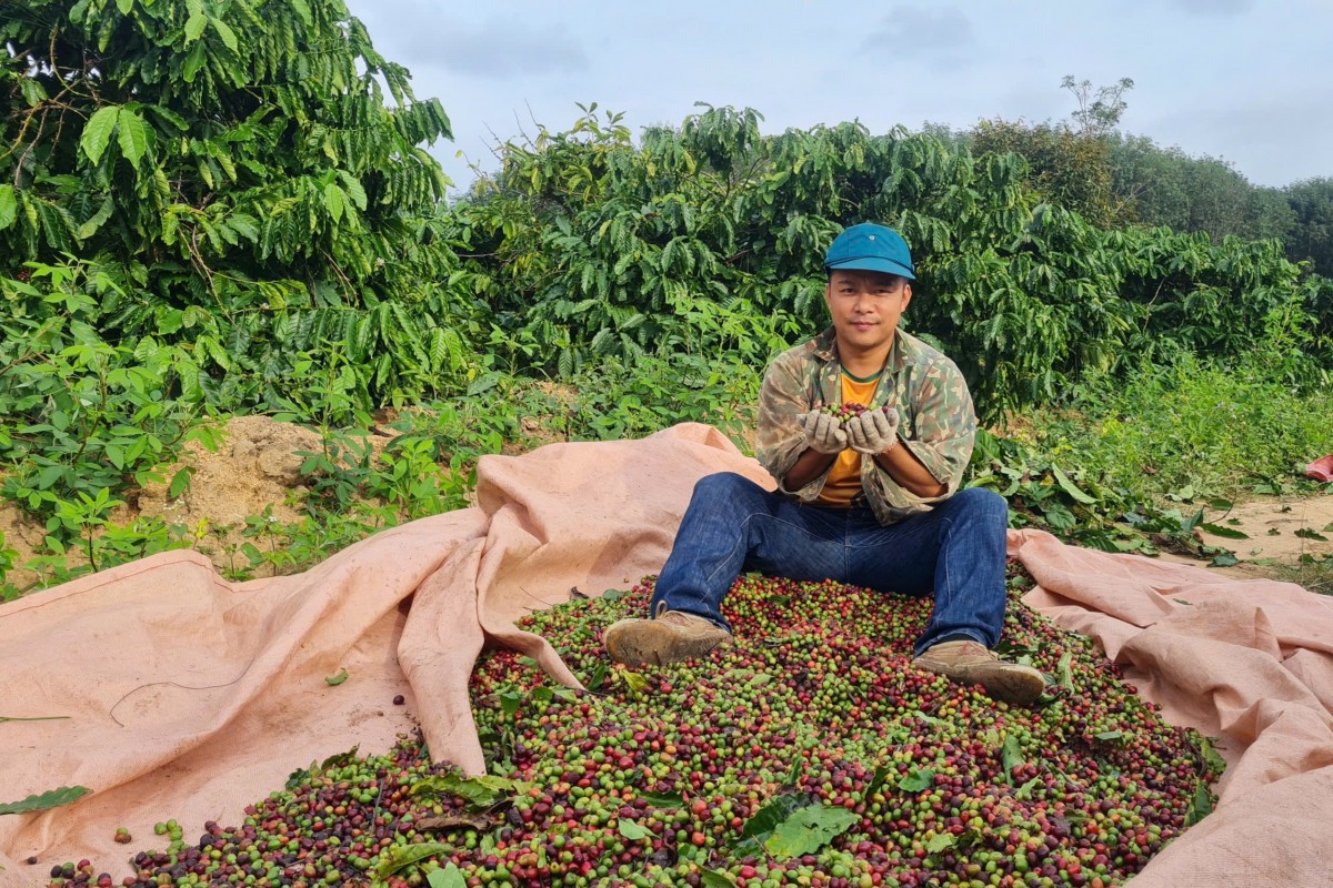 Nông nghiệp Đắk Lắk 