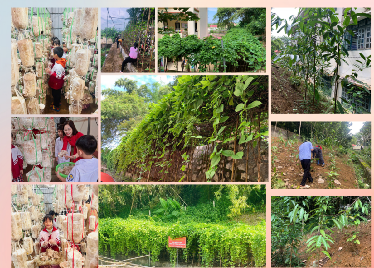 Xây dựng lực lượng công dân có trách nhiệm với môi trường trong tương lai