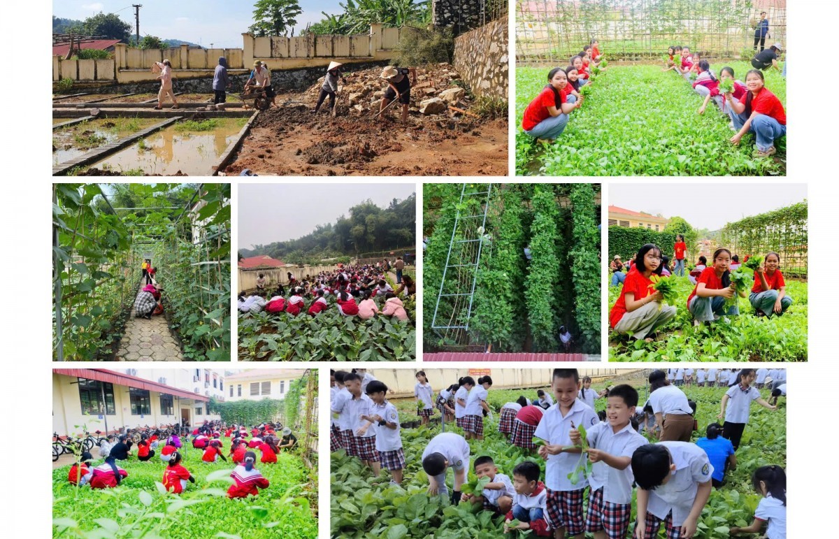 Xây dựng lực lượng công dân có trách nhiệm với môi trường trong tương lai