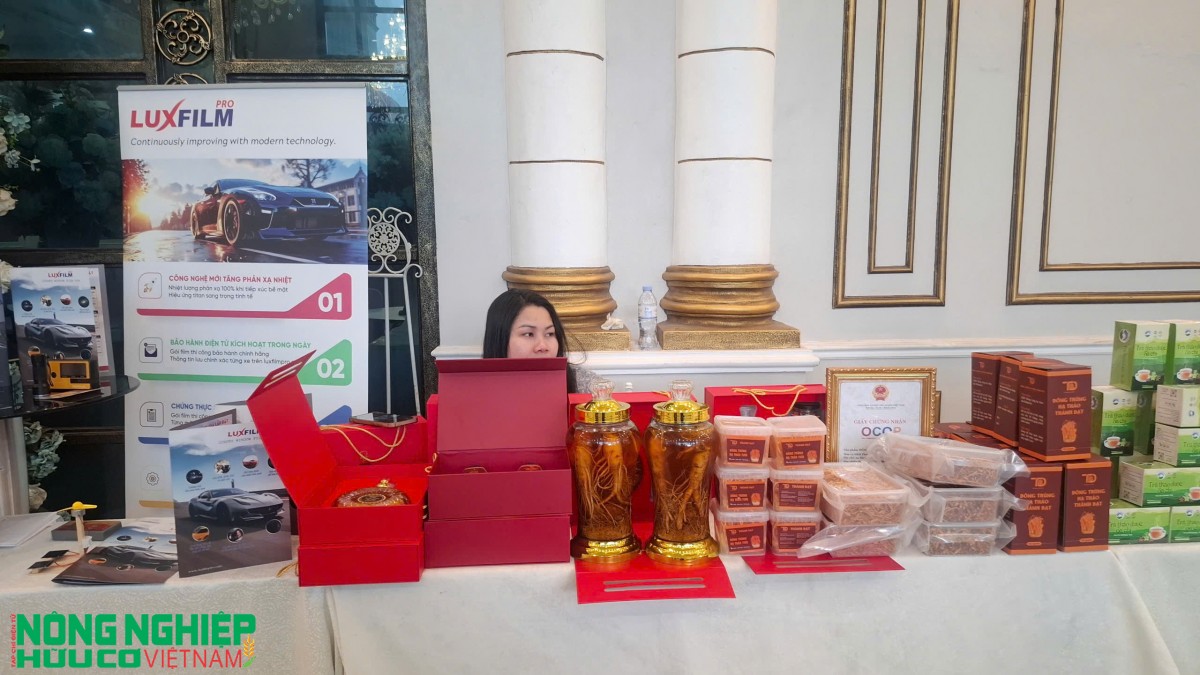 Trên 500 doanh nghiệp tham gia Hội nghị tổng kết xúc tiến thương mại khu vực Tây Hải Phòng