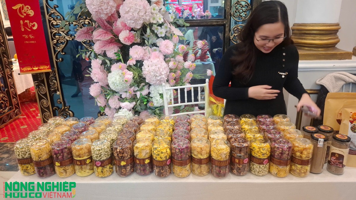 Trên 500 doanh nghiệp tham gia Hội nghị tổng kết xúc tiến thương mại khu vực Tây Hải Phòng