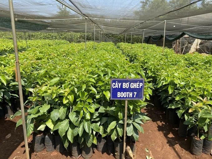 Đẩy mạnh nghiên cứu và sản xuất giống, tạo bệ phóng cho tái cơ cấu ngành nông nghiệp