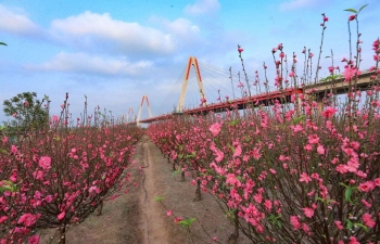 Khoa học công nghệ “bàn đạp” chuyển đổi xanh, phát triển thủ đô bền vững