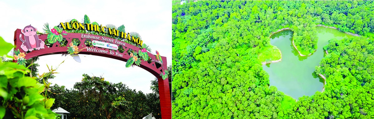 Công ty TNHH MTV Đầu tư và Phát triển nông nghiệp Hà Nội (HADICO) đơn vị quản lý Vườn Thực vật Hà Nội đang tập trung để thực hiện đúng định hướng, trúng mục tiêu phát triển của Thành phố. Trong giai đoạn 2025-2030, Hà Nội đặt mục tiêu xây dựng nền nông nghiệp đô thị hiện đại gắn với du lịch sinh thái, giáo dục và bảo tồn.