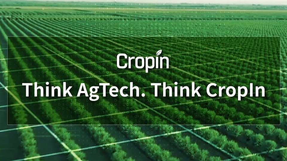 Ứng dụng công nghệ để đảm bảo an ninh lương thực: Khi những "gã khổng lồ" bắt tay