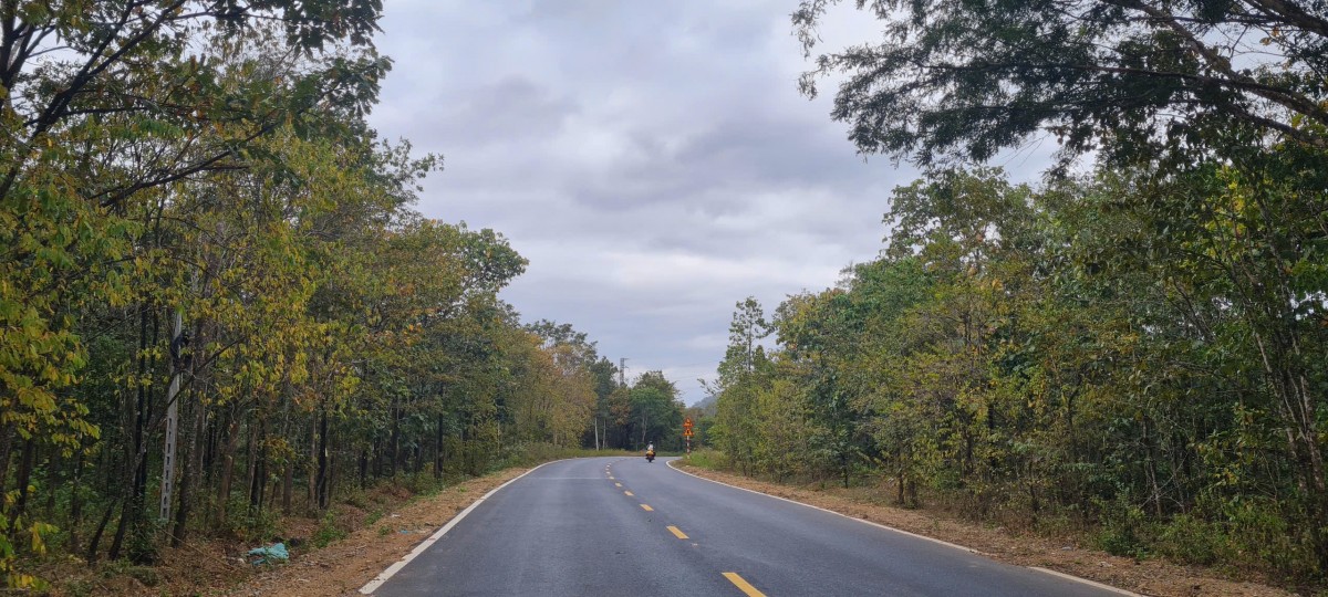 Đắk Lắk: Tăng cường các biện pháp quản lý, bảo vệ và phòng cháy, chữa cháy rừng