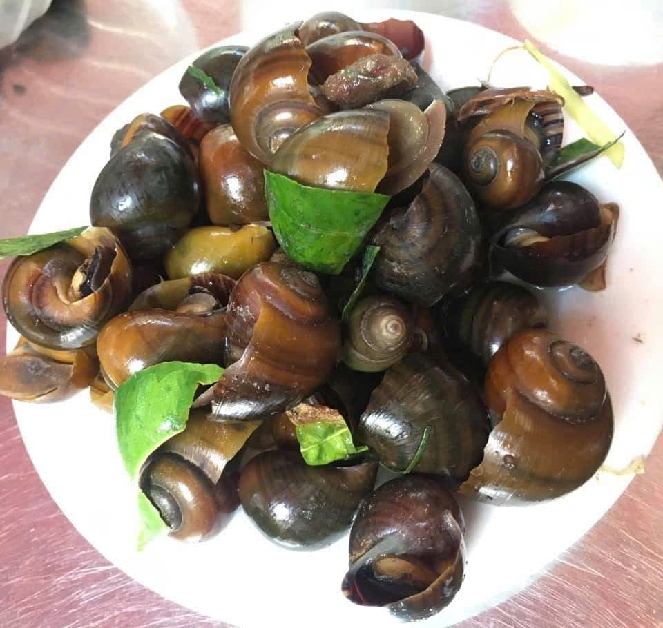 Cách chọn ốc làm sẵn ngon sạch, không "ngậm" hóa chất cho bữa cơm gia đình