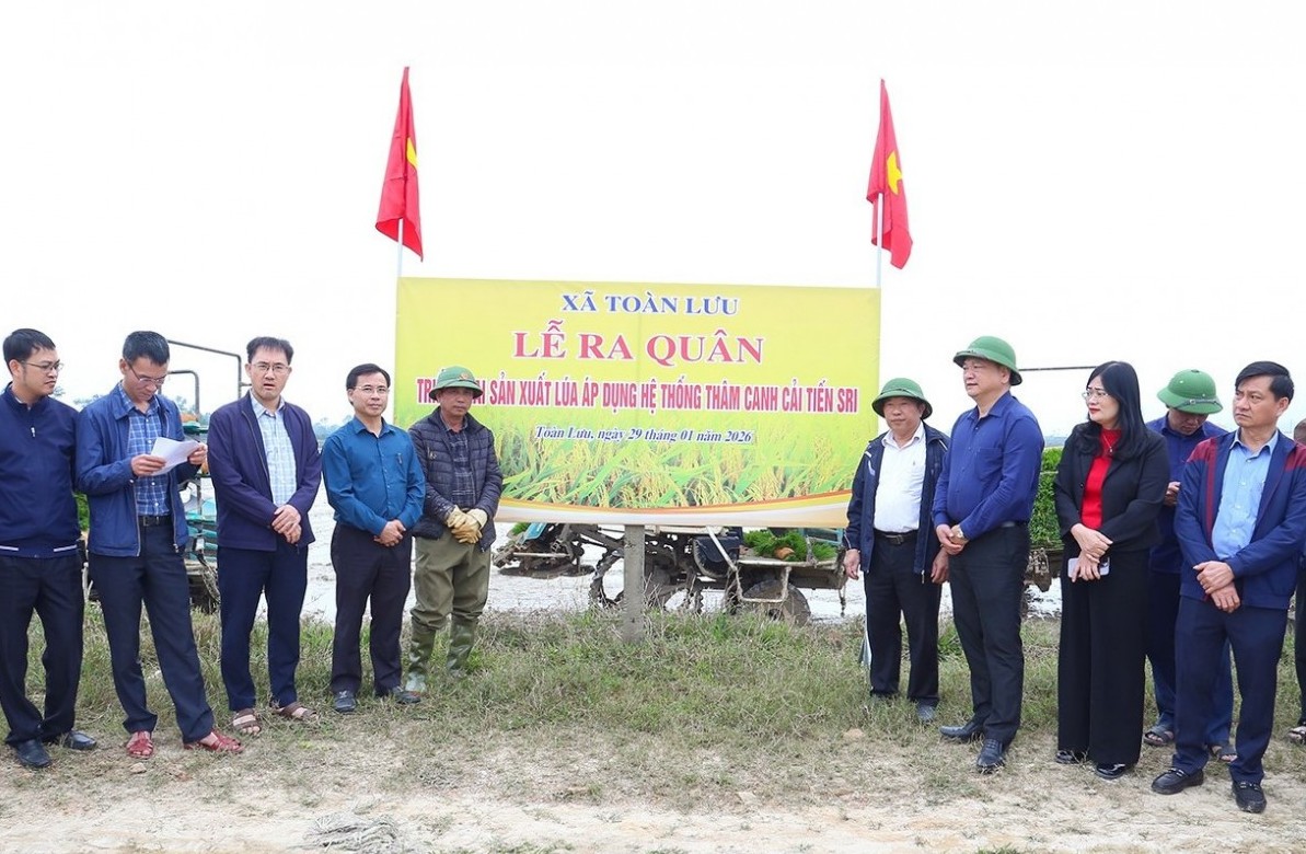 Hà Tĩnh đẩy mạnh phong trào sản xuất lúa giảm phát thải