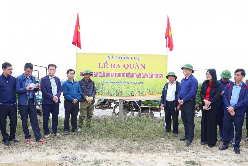 Hà Tĩnh đẩy mạnh phong trào sản xuất lúa giảm phát thải