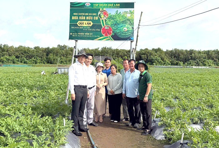 Dưa hấu Mỏ Ó có gì hấp dẫn?