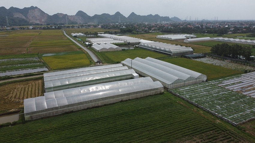 Mô hình tích tụ đất đai, cơ giới hóa đang đưa nền nông nghiệp tại xã Hồ Vương hướng đến 