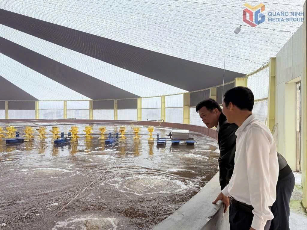 Công nghệ tạo đòn bẩy cho nông nghiệp Quảng Ninh phát triển bền vững