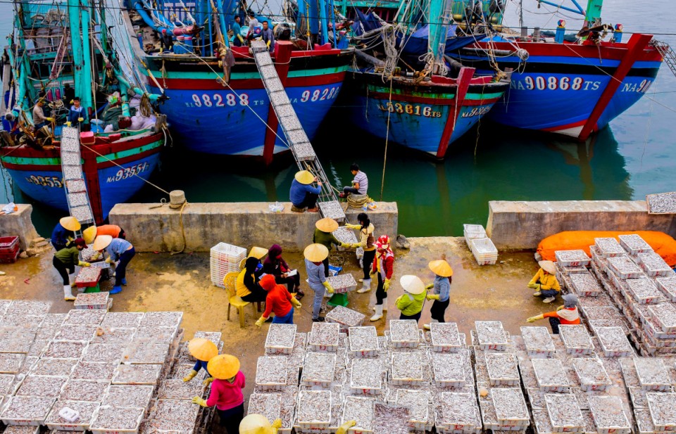 Phát triển kinh tế biển Nghệ An theo hướng hiện đại, bền vững và đa ngành