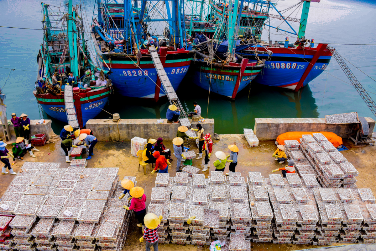 Phát triển kinh tế biển Nghệ An theo hướng hiện đại, bền vững và đa ngành