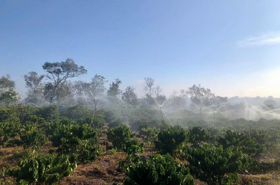 Ứng dụng công nghệ tưới nước tiên tiến nhằm nâng cao hiệu quả sản xuất nông nghiệp