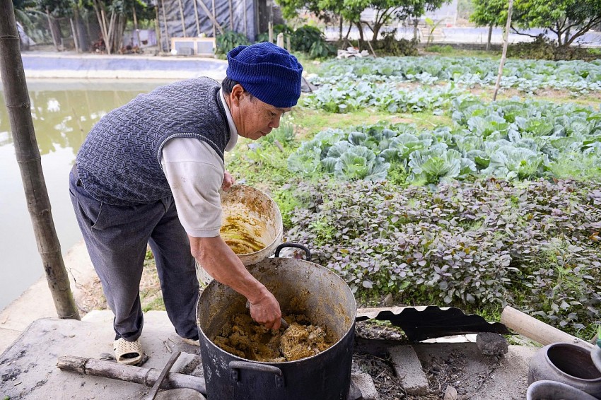 Thức ăn của tôm là cám ngô, gạo được xay nhuyễn cùng cá rô phi có giá thành thấp. 