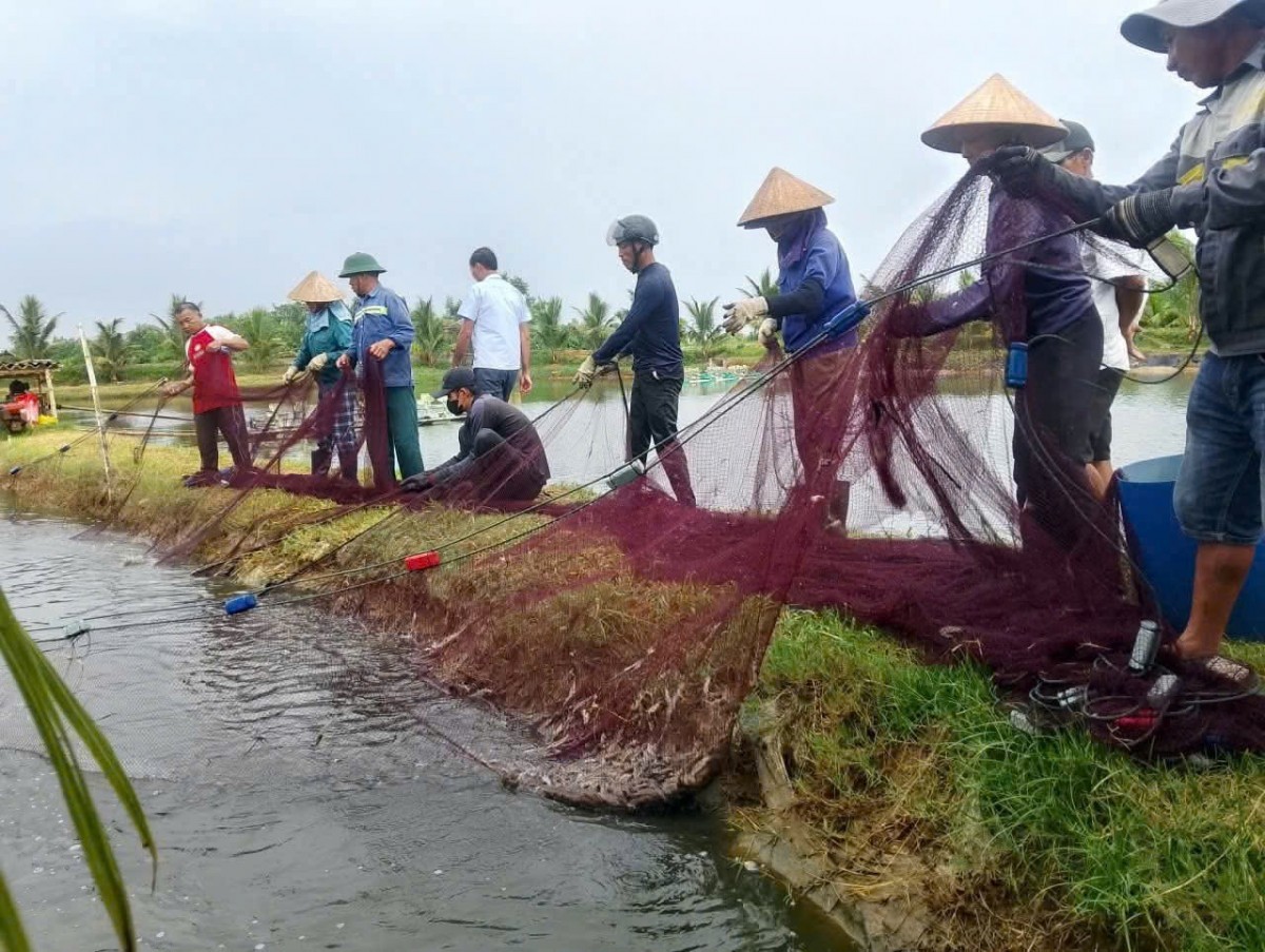 Quảng Trị: Tổng sản lượng thủy sản đạt 138.606 tấn trong năm 2025