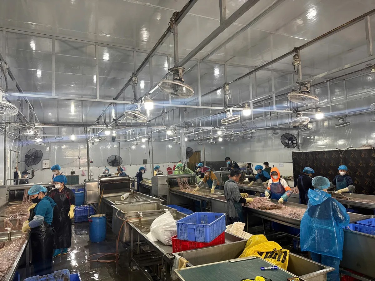 Triệt phá cơ sở chứa hơn 60 tấn lòng lợn bốc mùi, trữ đông nhiều tháng