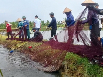 Quảng Trị: Tổng sản lượng thủy sản đạt 138.606 tấn trong năm 2025