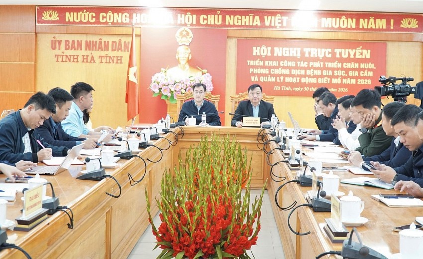 Hà Tĩnh: Triển khai công tác phát triển chăn nuôi và phòng, chống dịch bệnh động vật trên địa bàn