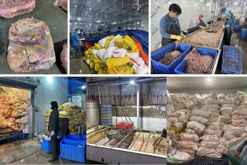 Triệt phá cơ sở chứa hơn 60 tấn lòng lợn bốc mùi, trữ đông nhiều tháng