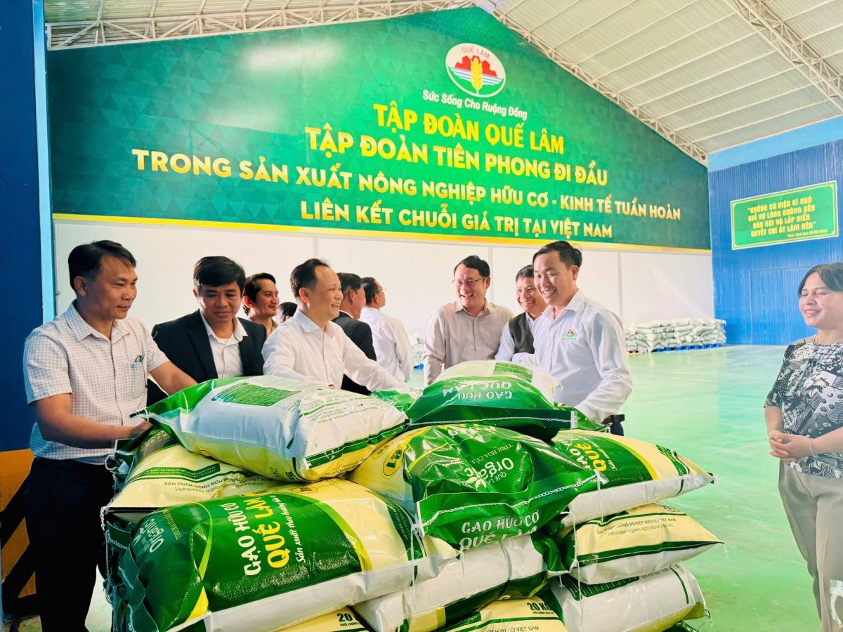 Sản phẩm gạo hữu cơ của Tập đoàn Quế Lâm