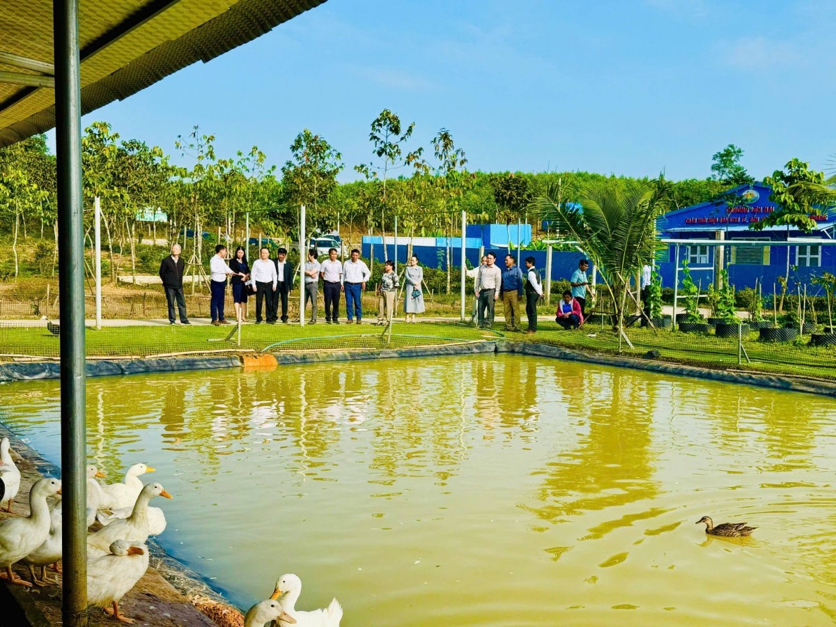 Huế: Xã A Lưới 2 quyết tâm phát triển nông nghiệp bền vững gắn với môi trường